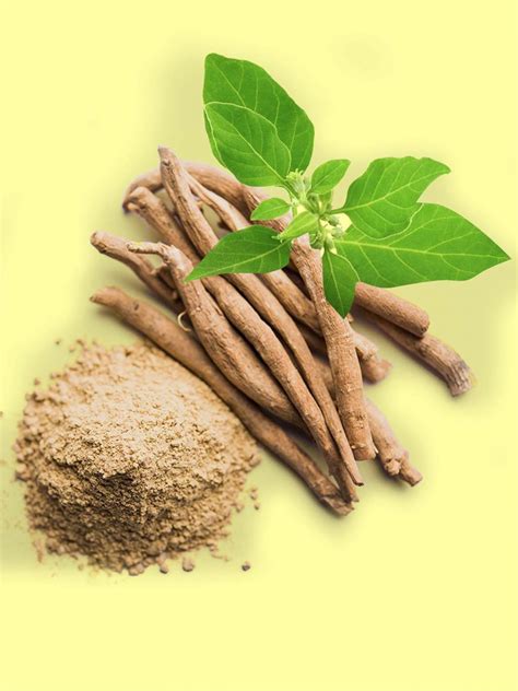 Ashwagandha